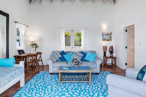 TV, DVD player, books, music library - Spacious 1 Bedroom Villa, Private 20ft Pool, Stunning Views, 5 Mins To Beaches (Cane Garden Bay)