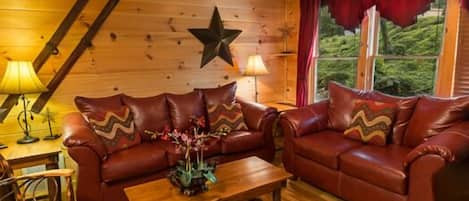 TV, fireplace, DVD player, stereo