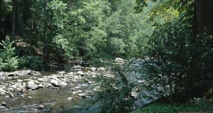 Am Fluss und in der Nähe der Innenstadt von Gatlinburg mit WIFI, Sauna und Whirlpool