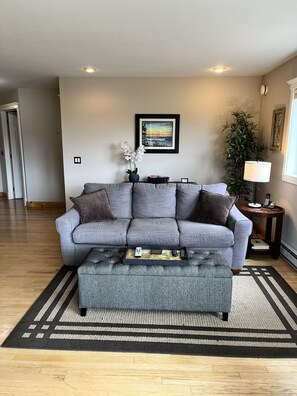 TV, DVD player, books, music library