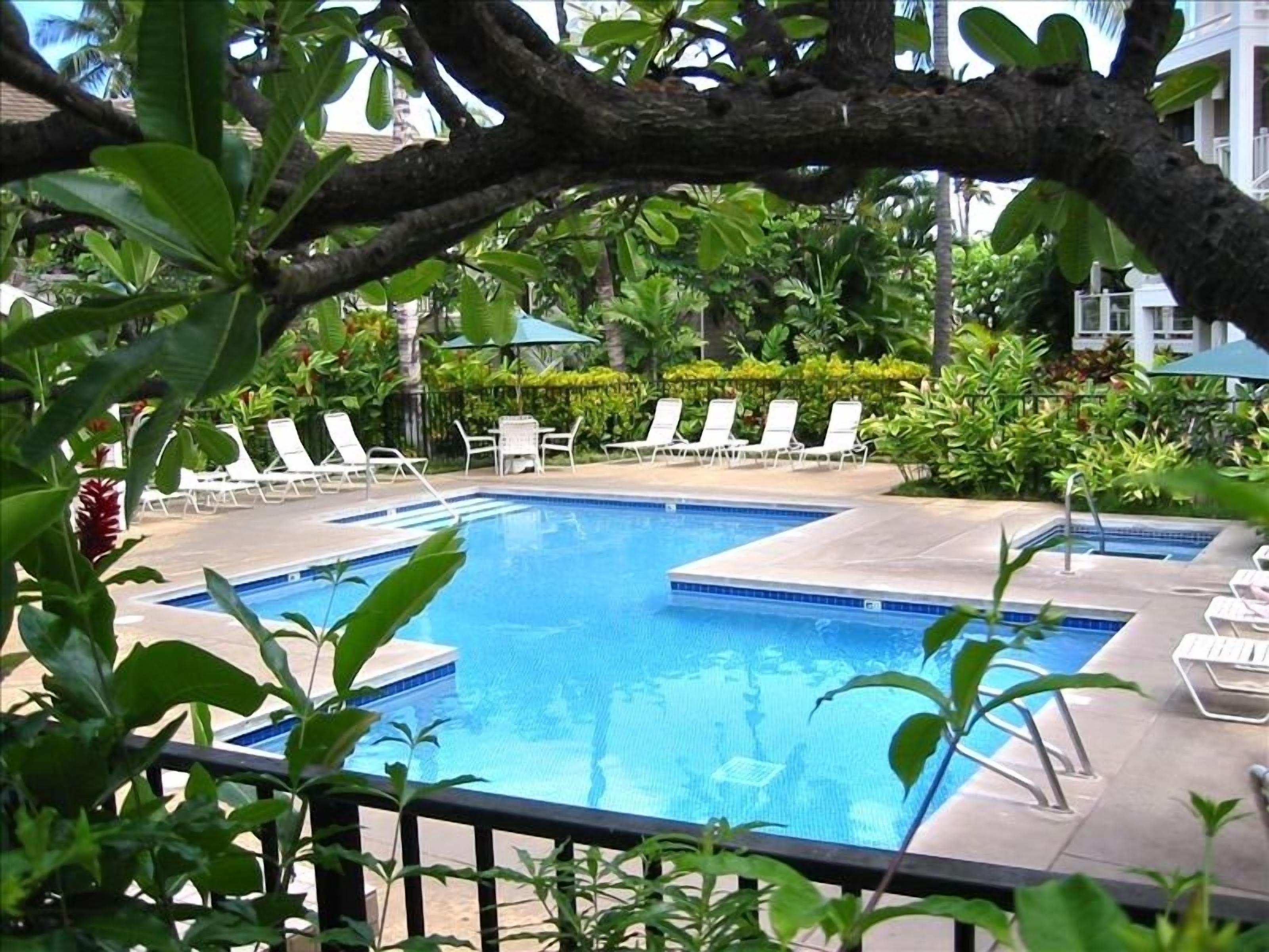 Une piscine rectangulaire bordée de chaises longues blanches et d’ombrelles, entourée d’une végétation luxuriante et avec un bâtiment visible au loin.