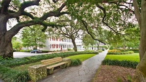 A paved pathway with a wooden bench, surrounded by lush greenery and large trees. - Absolutely Awesome, the Captain's Cottage (Savannah)