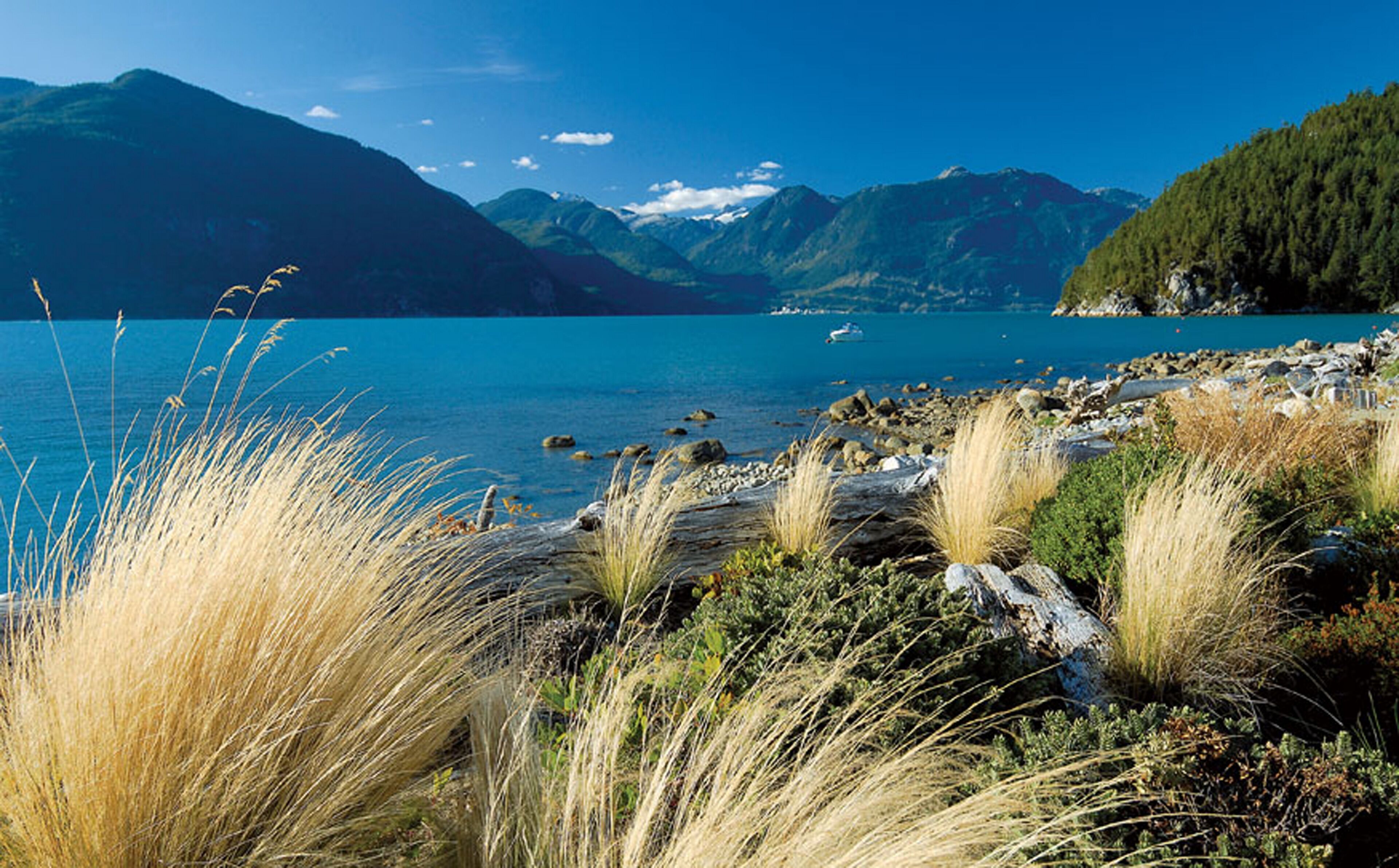 A coastal landscape with a clear lake, mountains in the background, and grassy vegetation in the foreground.