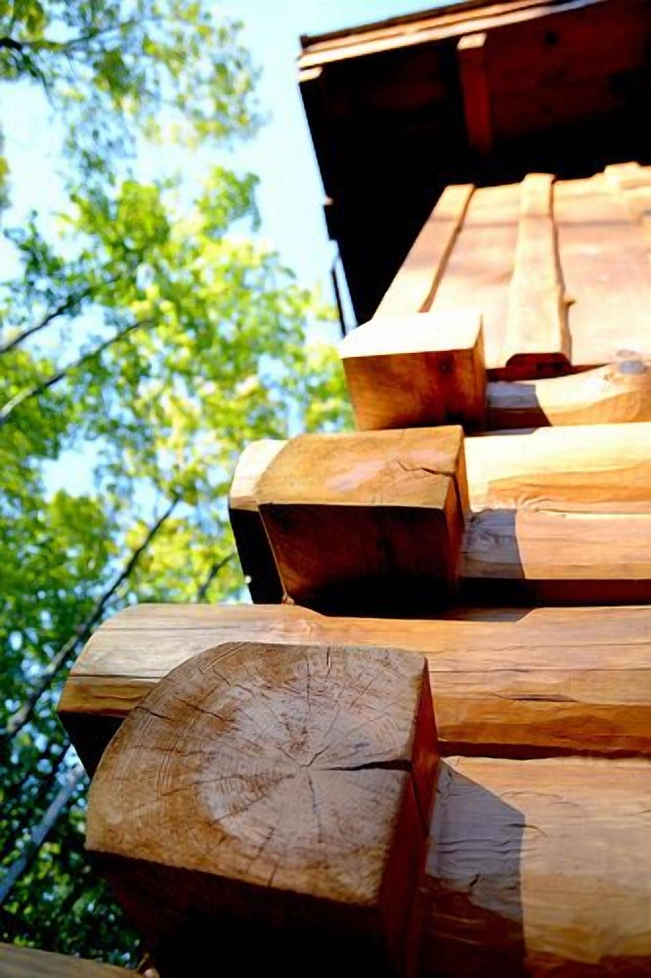A stack of wooden logs with a tree trunk cross-section visible.