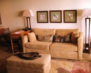 Una Smart TV, un reproductor de DVD, una videoteca