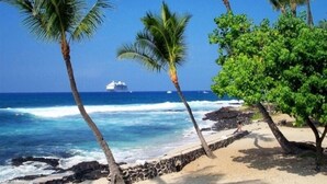 A beach with palm trees, a stone wall, and a cruise ship in the distance. - Quite Simply THE BEST Kona Reef Oceanfront. (Kailua Kona)