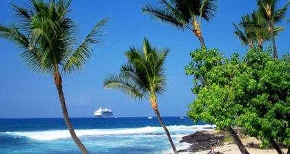 Quite Simply THE BEST Kona Reef Oceanfront.