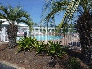 A swimming pool surrounded by palm trees and a white fence.