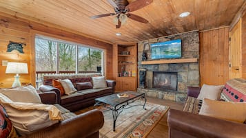 TV connectée, cheminée, jeux vidéo, livres