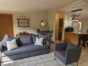 TV, fireplace, DVD player, books