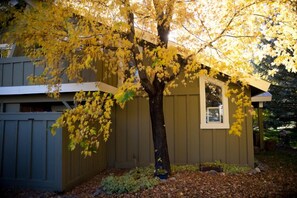 Exterior detail - Hot Tub Time Machine! - The Soul Pad of Sun Valley (Ketchum)