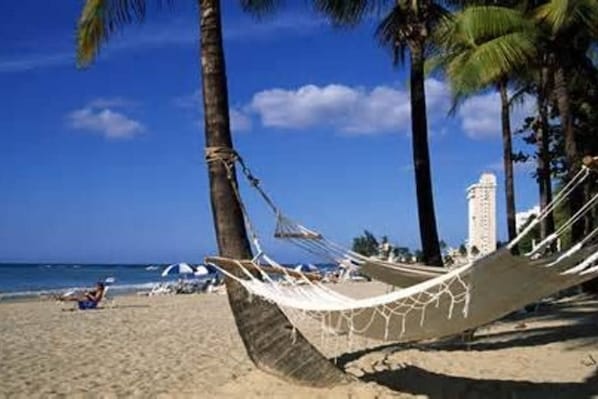 Plage à proximité, chaises longues, serviettes de plage