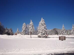 Located at the North Carolina/Tennessee State Line, this mountain retreat offers breathtaking views of snow-covered trees.