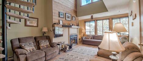 テレビ、暖炉、DVD プレーヤー、ステレオ