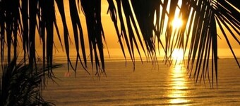 Pure Coastal Luxury: Beachfront Condo, Private sundeck Deck & Breathtaking views