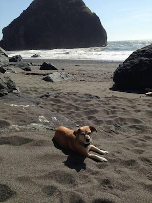 Playa