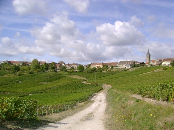 A vineyard with rows of grapevines, a dirt path, and a town with houses and a church in the background. - Charming home in Champagne Vineyards Near sezanne (Broyes)