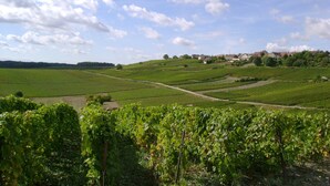 A vineyard with rows of grapevines and a small village in the background. - Charming home in Champagne Vineyards Near sezanne (Broyes)