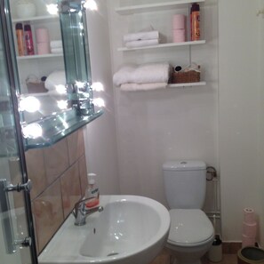 A bathroom with a sink, mirror, and toilet. There are shelves with toiletries and towels. - Charming home in Champagne Vineyards Near sezanne (Broyes)