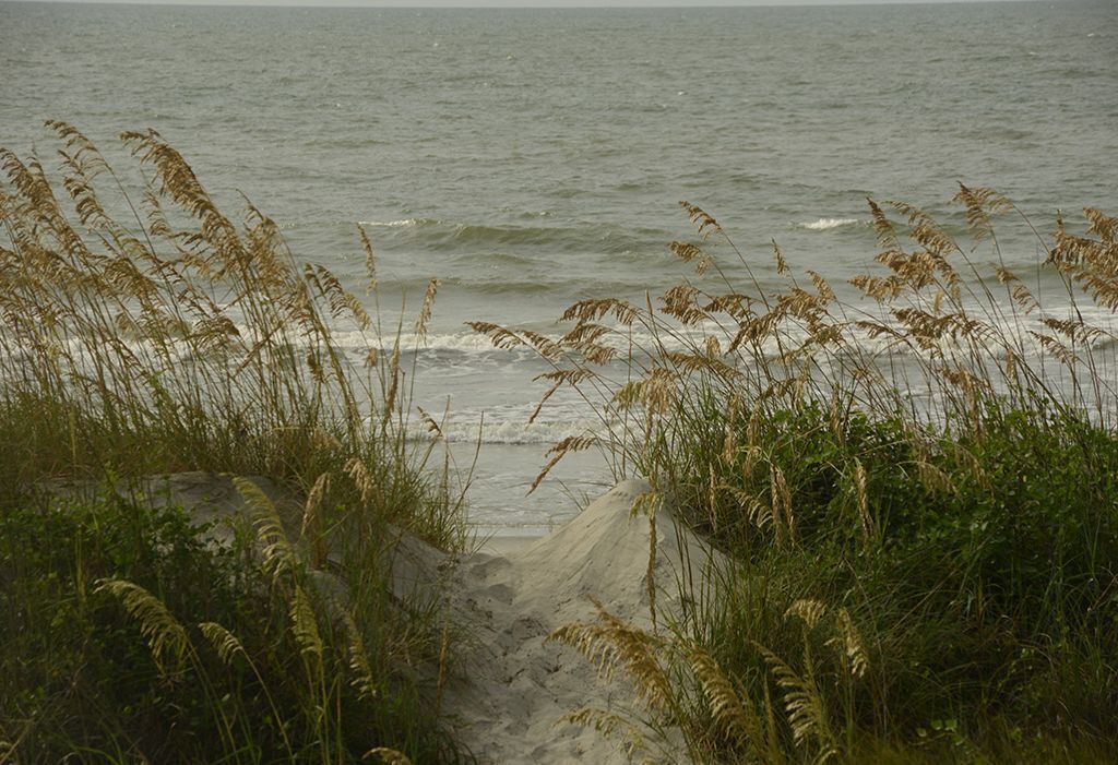 Beach nearby, sun-loungers