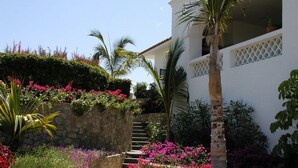 Un jardín con un muro de piedra, una palmera y una escalera que lleva a un edificio blanco con balcones.