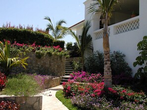 Property grounds - Newly Remodeled Gorgeous Palmilla Villa, private beach 1 min walk (San Jose del Cabo)