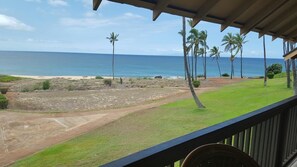 Property grounds - Rich & Dana's Ocean Front Condo With Spectacular Sunsets (Maunalona)