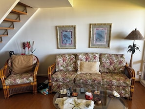 TV connectée, lecteur de DVD, livres, vidéothèque