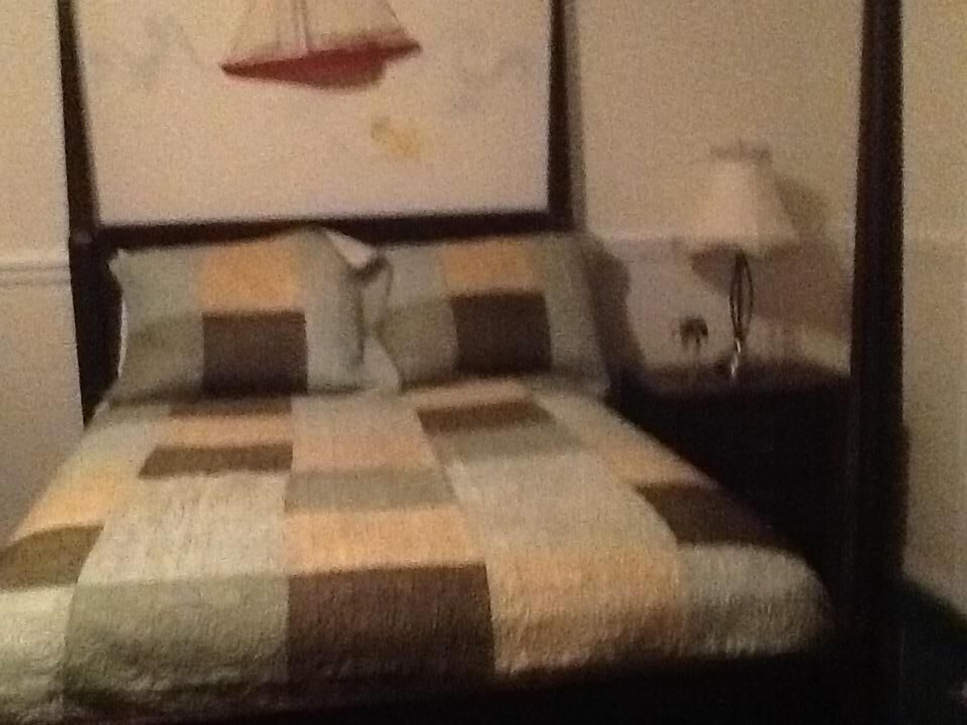 A bed with a checkered bedspread, a nightstand with a lamp, and a framed picture on the wall.