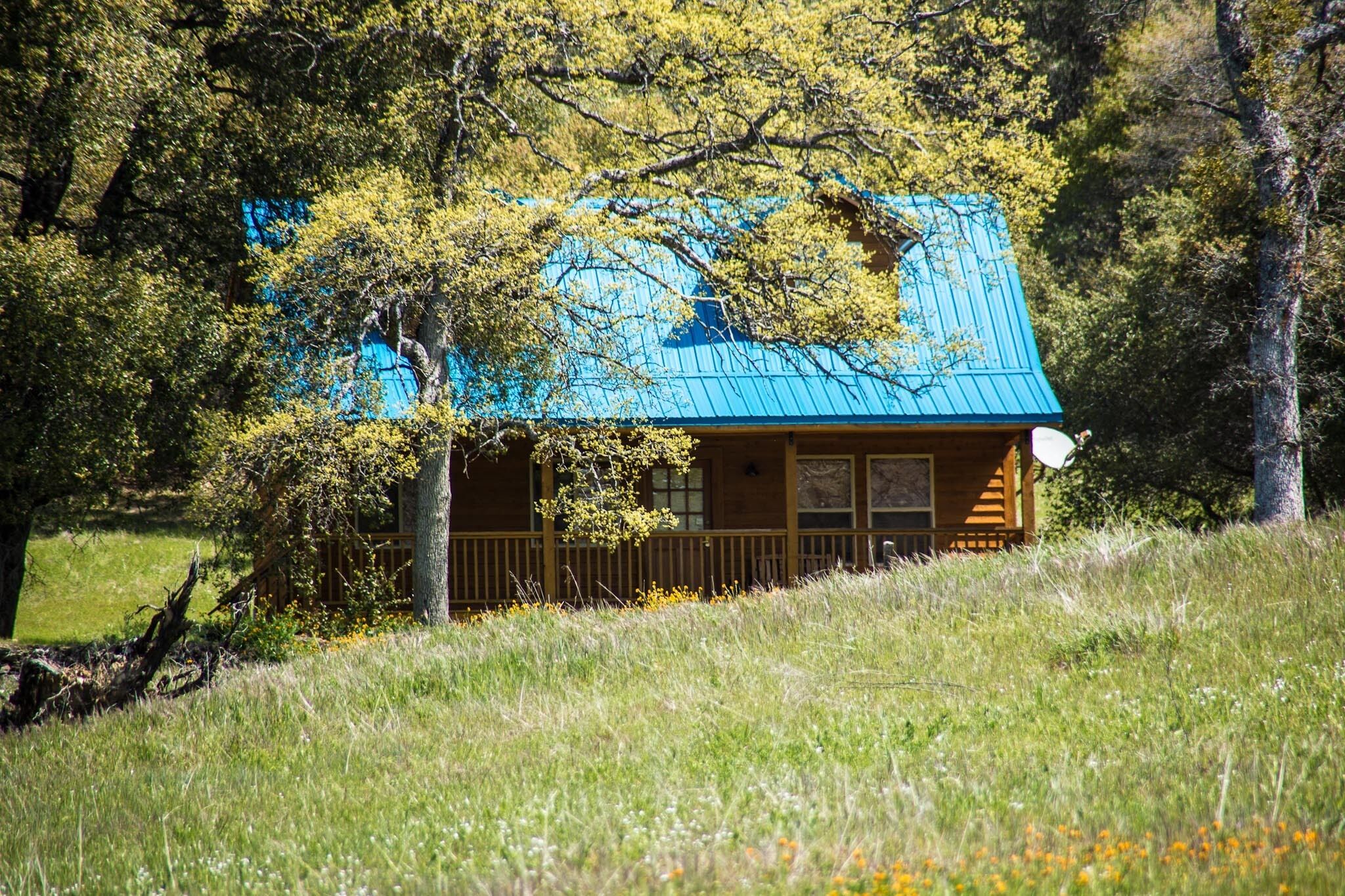 A cabin with a blue roof, surrounded by trees and grass.