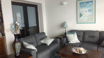 Télévision, lecteur de DVD, livres, vidéothèque