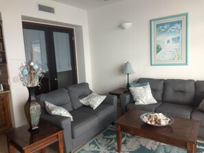 TV, DVD player, books, video library