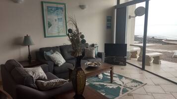 TV, DVD player, books, video library