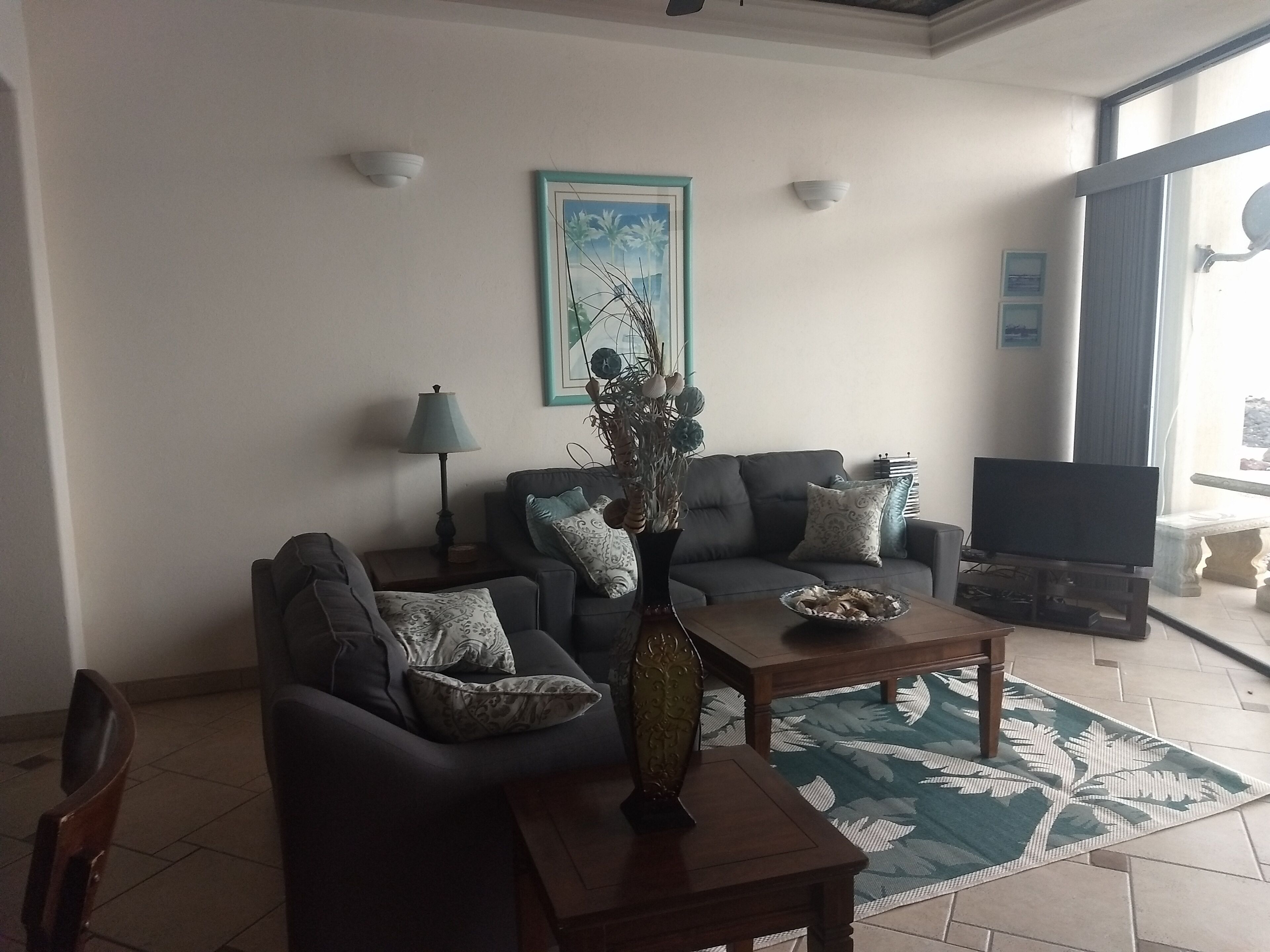 A living room with a grey sofa, a coffee table, a TV, and a decorative plant.