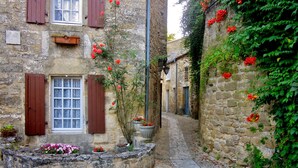 Une ruelle étroite pavée de pierres, bordée de bâtiments en pierre, de volets en bois et de pots de fleurs aux fleurs rouges.