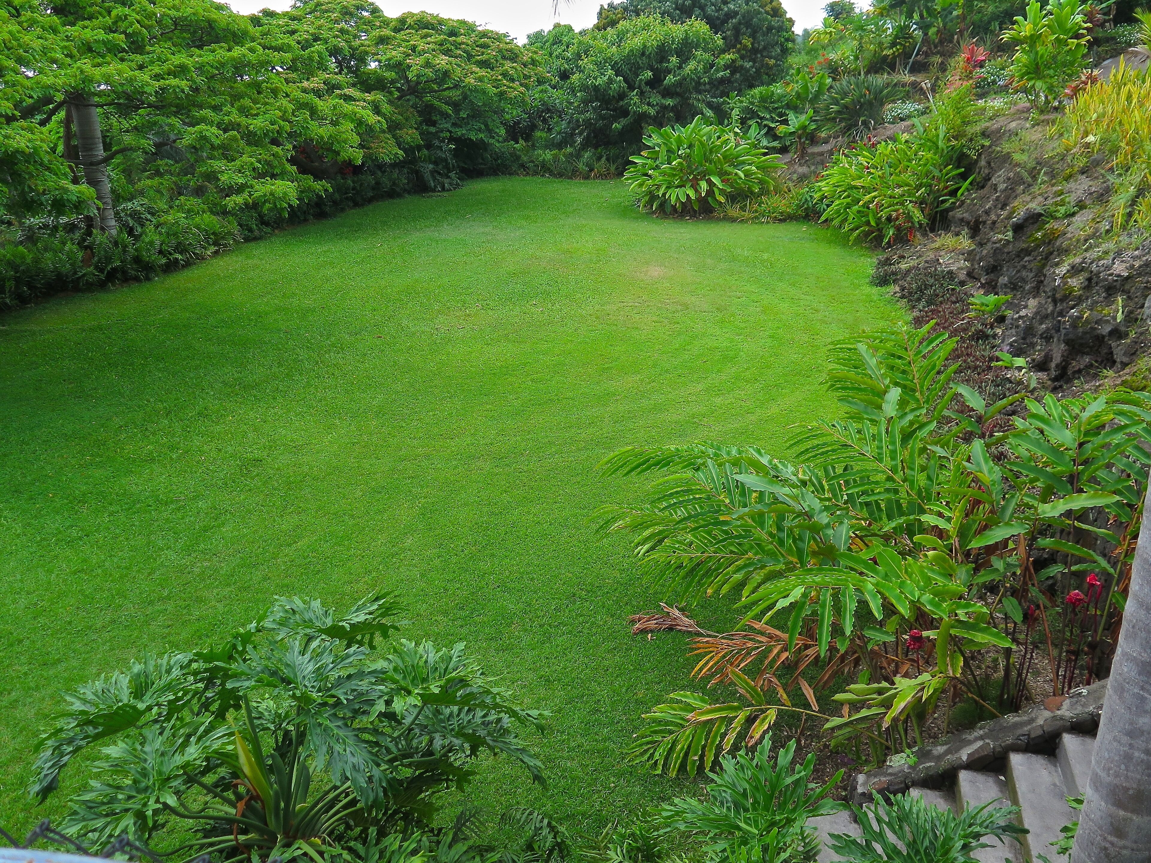A lush, green garden with a well-maintained lawn and various plants.