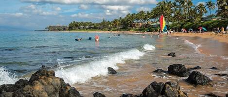 A beach with clear waters, rocks, and palm trees.