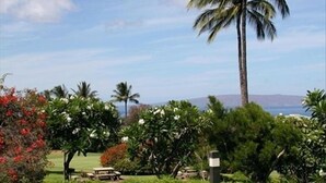 Un jardín ajardinado con una palmera, arbustos florecientes y un cielo despejado.