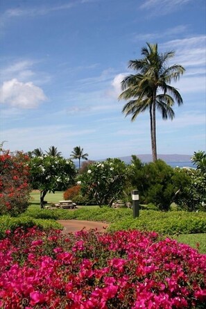 Property grounds - Wailea Sunset Condo -Wailea Ekolu Village #607- Summer Get Away Special (Wailea)