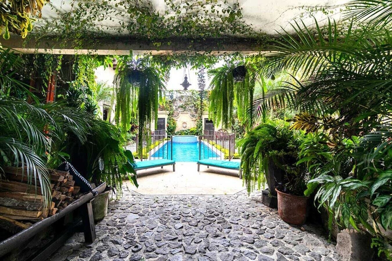 Un área de piscina con suelo de piedra, rodeada de abundante vegetación y plantas colgantes.