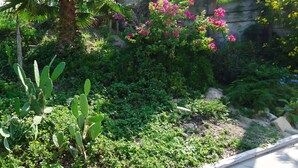 A garden with various plants and flowers, including cacti and pink blooms. - Tarpon Qtrs! 1BR/1BA w/Dog Friendly Fenced Yard, Walk to the Beach! (Port Aransas)