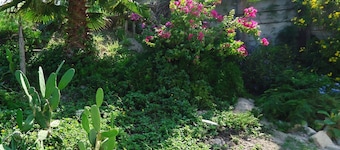 Tarpon Qtrs! 1BR/1BA w/Dog Friendly Fenced Yard, Walk to the Beach!