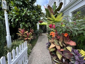 Stroll through the beautifully maintained garden, lined with a white picket fence, to the entrance of this charming property.