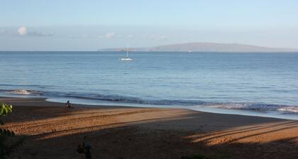 MEJOR VISTA AL OCÉANO A TRAVÉS DE CHARLEY YOUNG BEACH REMODELADO