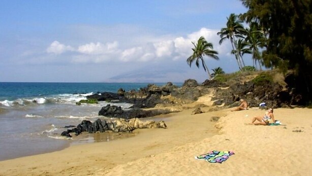 Ein Strand mit Felsen, Palmen und blauem Himmel.