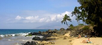 MEILLEURE VUE SUR L'OCEAN !! EN TRAIN DE CHARLEY YOUNG BEACH REMODELÉ