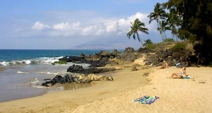 OCEAN VIEW!! Across Charley Young Beach