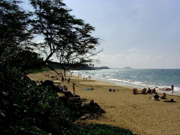 Playa en los alrededores 