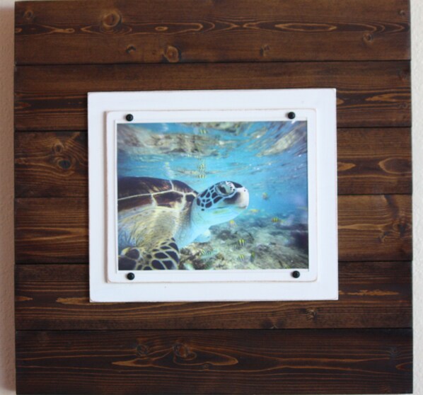 A framed photograph of a sea turtle swimming underwater, mounted on a wooden wall.