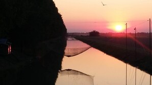 A sunset over a calm river with a bridge and power lines in the foreground. - Holiday house by the river Po and surrounded by green in Emiliana (BONDENO)